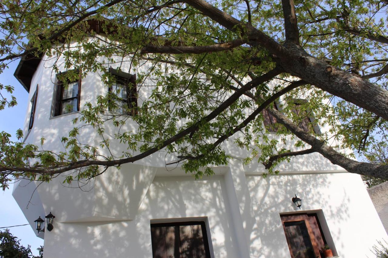 Centaurs View Daire Portariá Dış mekan fotoğraf