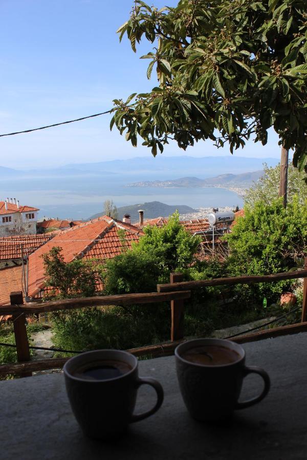 Centaurs View Daire Portariá Dış mekan fotoğraf